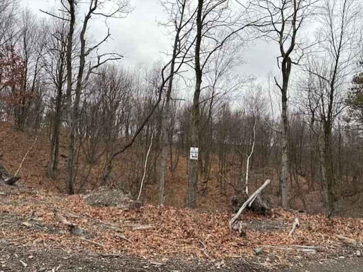 Darkwater 50 trail photo