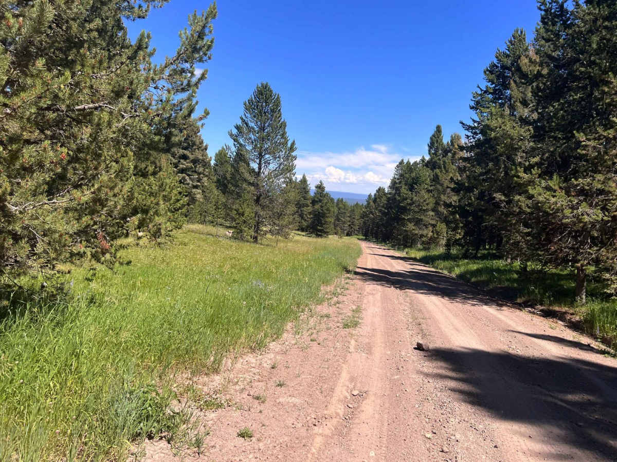 North Antelope Flat Road (20168) trail photo