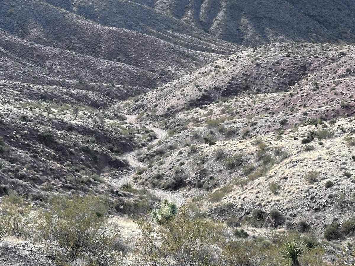 Golden Gate Mine Trail photo 3