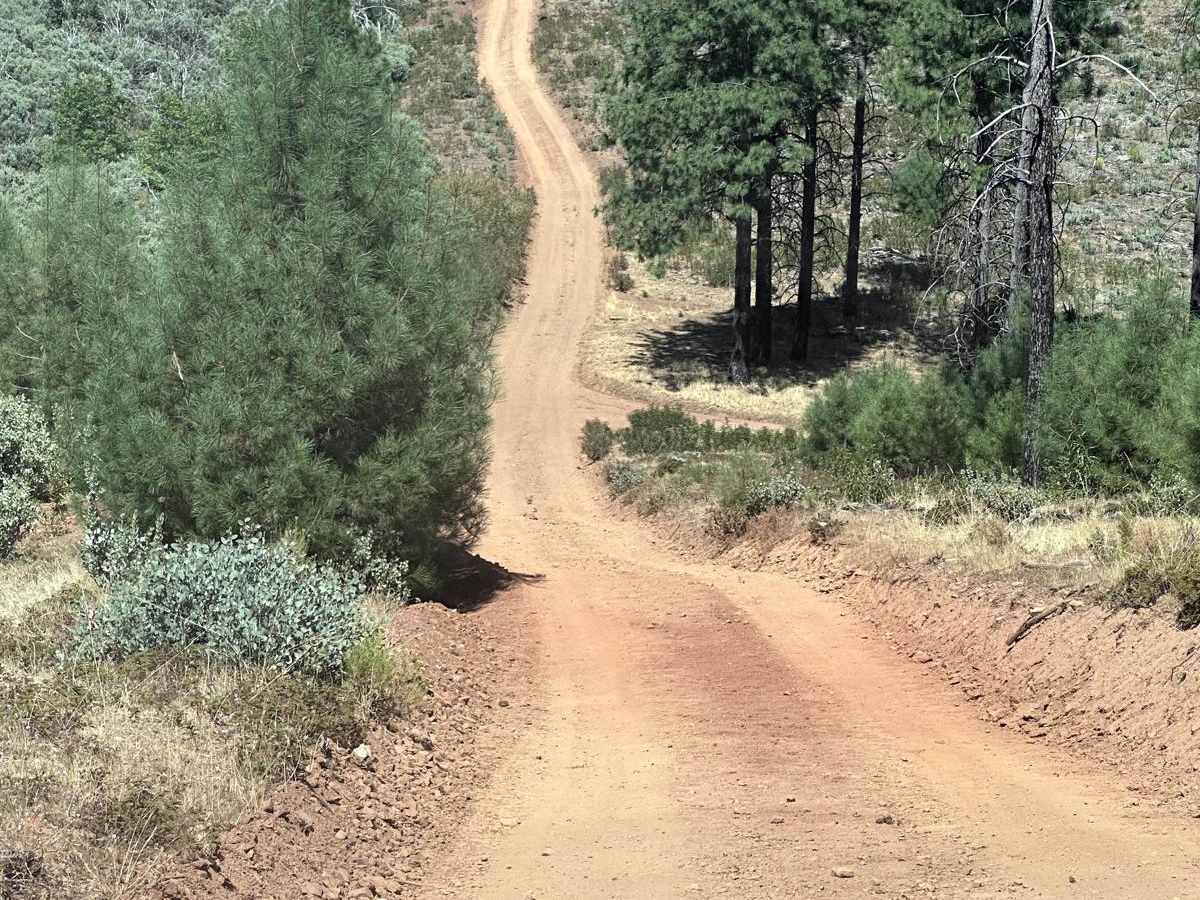 Tolumne Road/120 Bypass photo 5