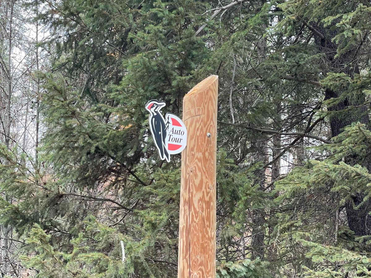 Bayley Lake Road photo 6