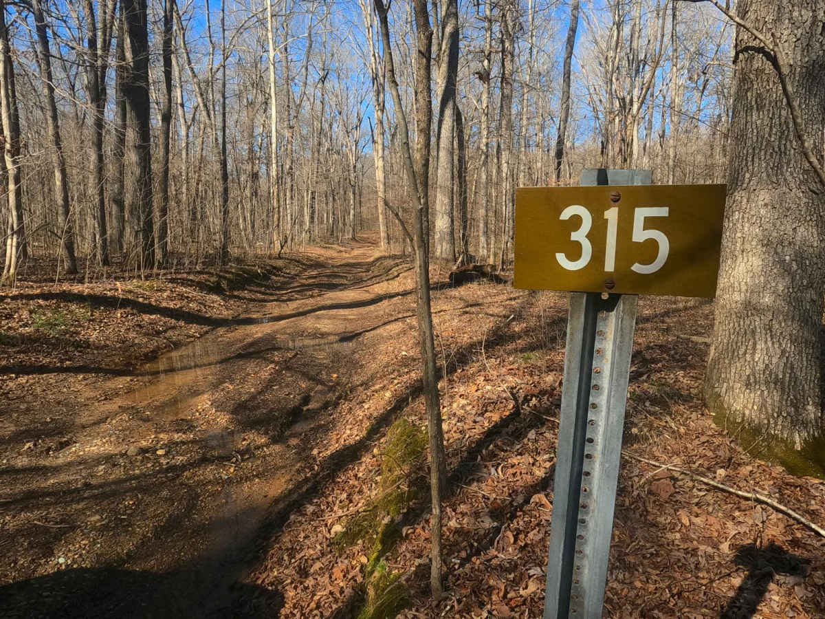 Fulton Furnace Road - FS 315 trail photo