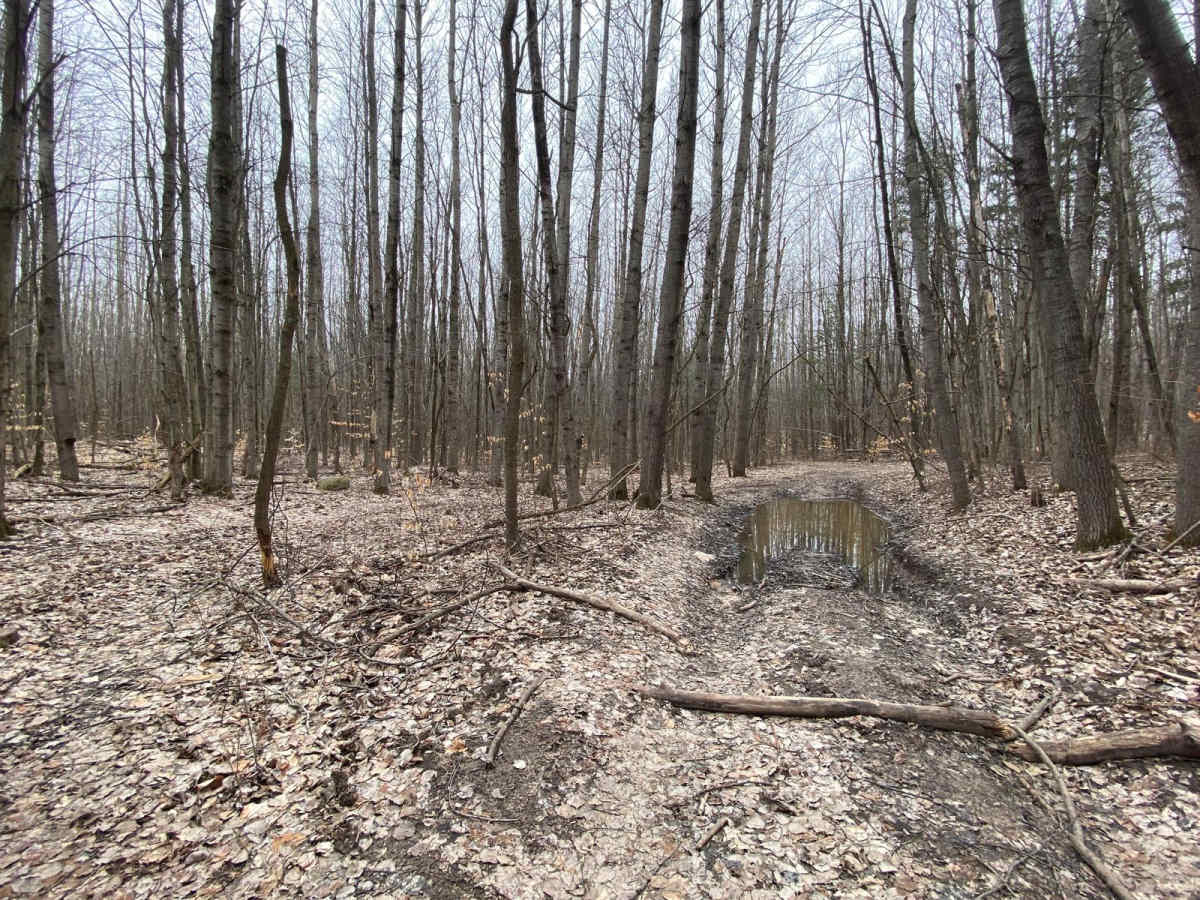 Tight Quarters Trail- FS 5067 photo 6