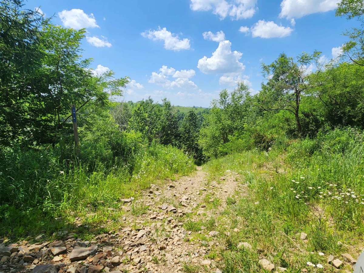 Trail 8D - Rock Run Recreation Area photo 2