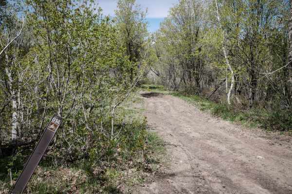 Sixth Water Divide #014