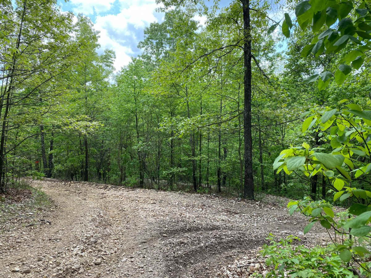 Comanche Hollow photo 2