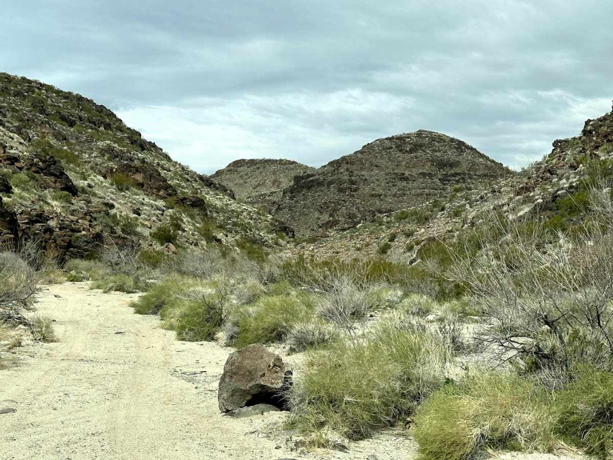 Cohenour Loop photo 5