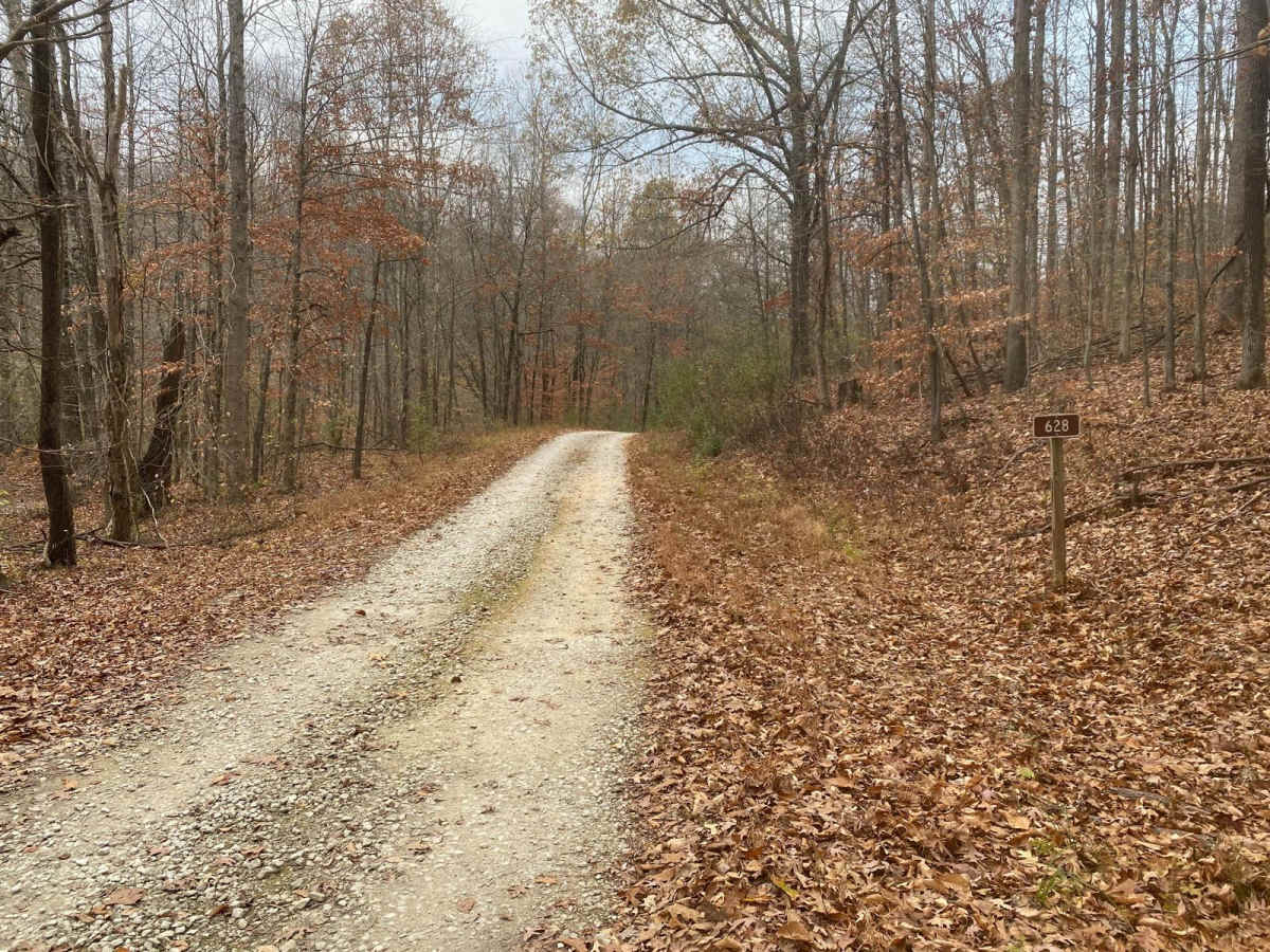 Opossum Trot Road SFR 628 photo 2
