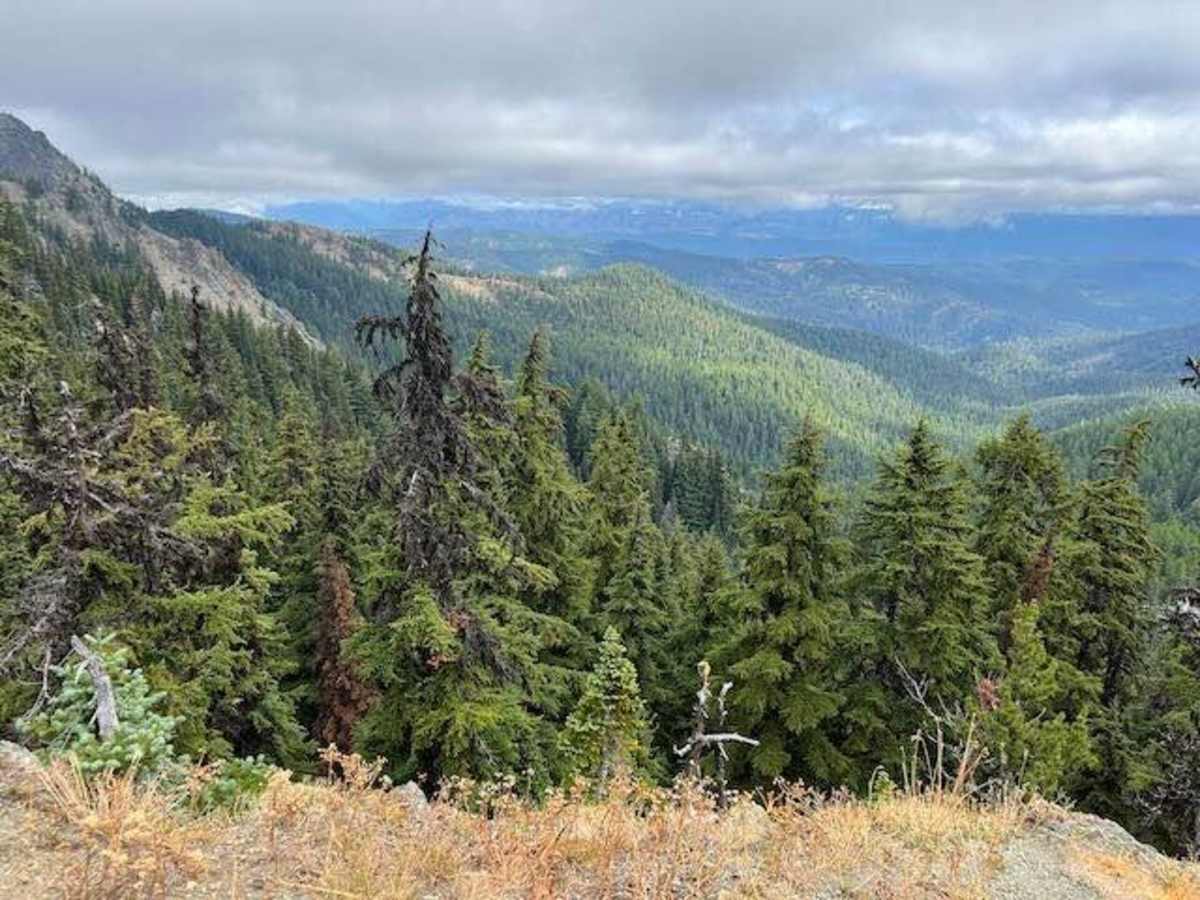 Quartz Mountain photo 2