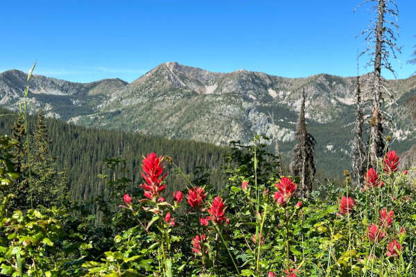 Salmo Lookout