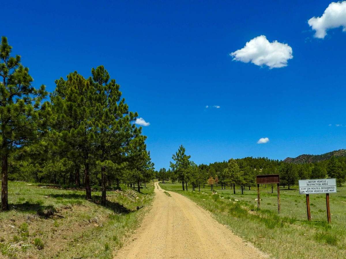 Forest Road 630/Williams Creek photo 3