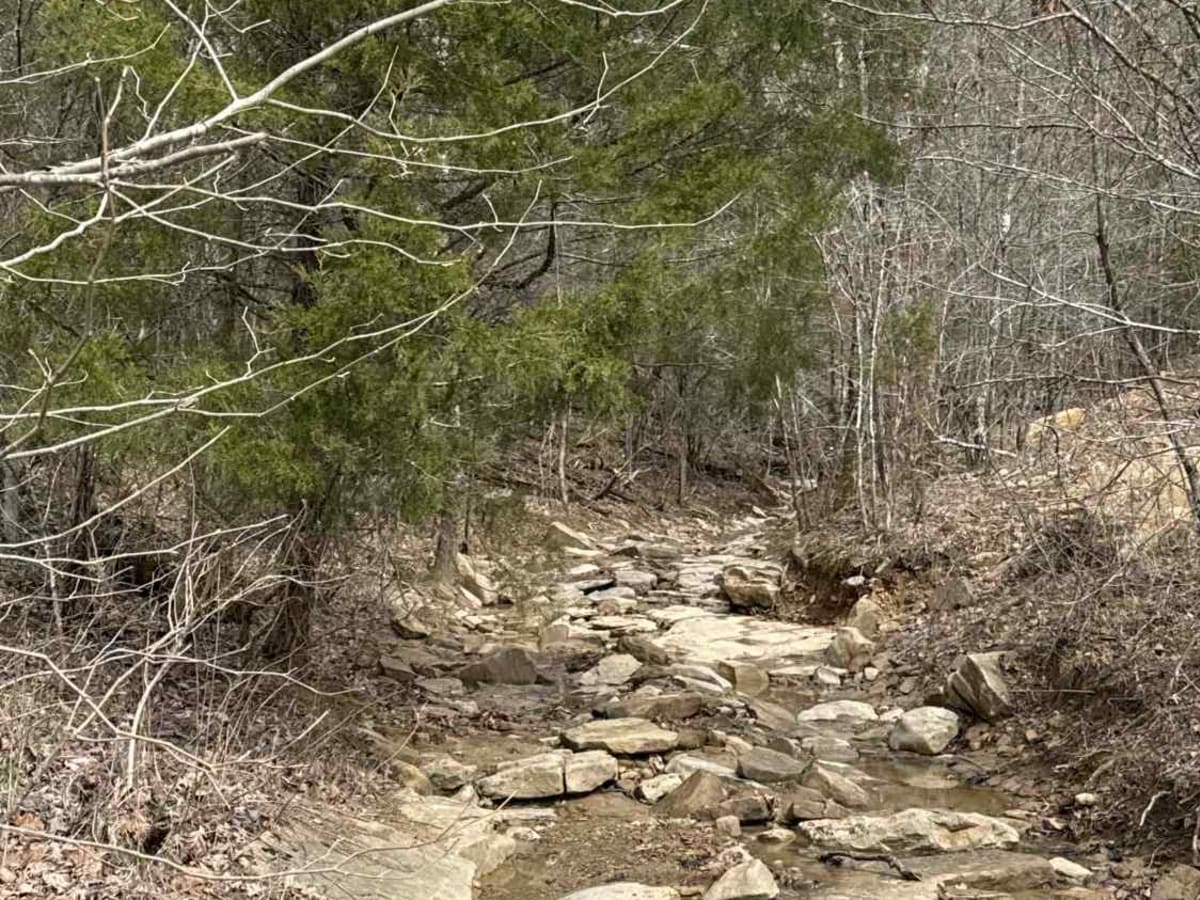 #7 Diamondback - Beginning Section photo 3