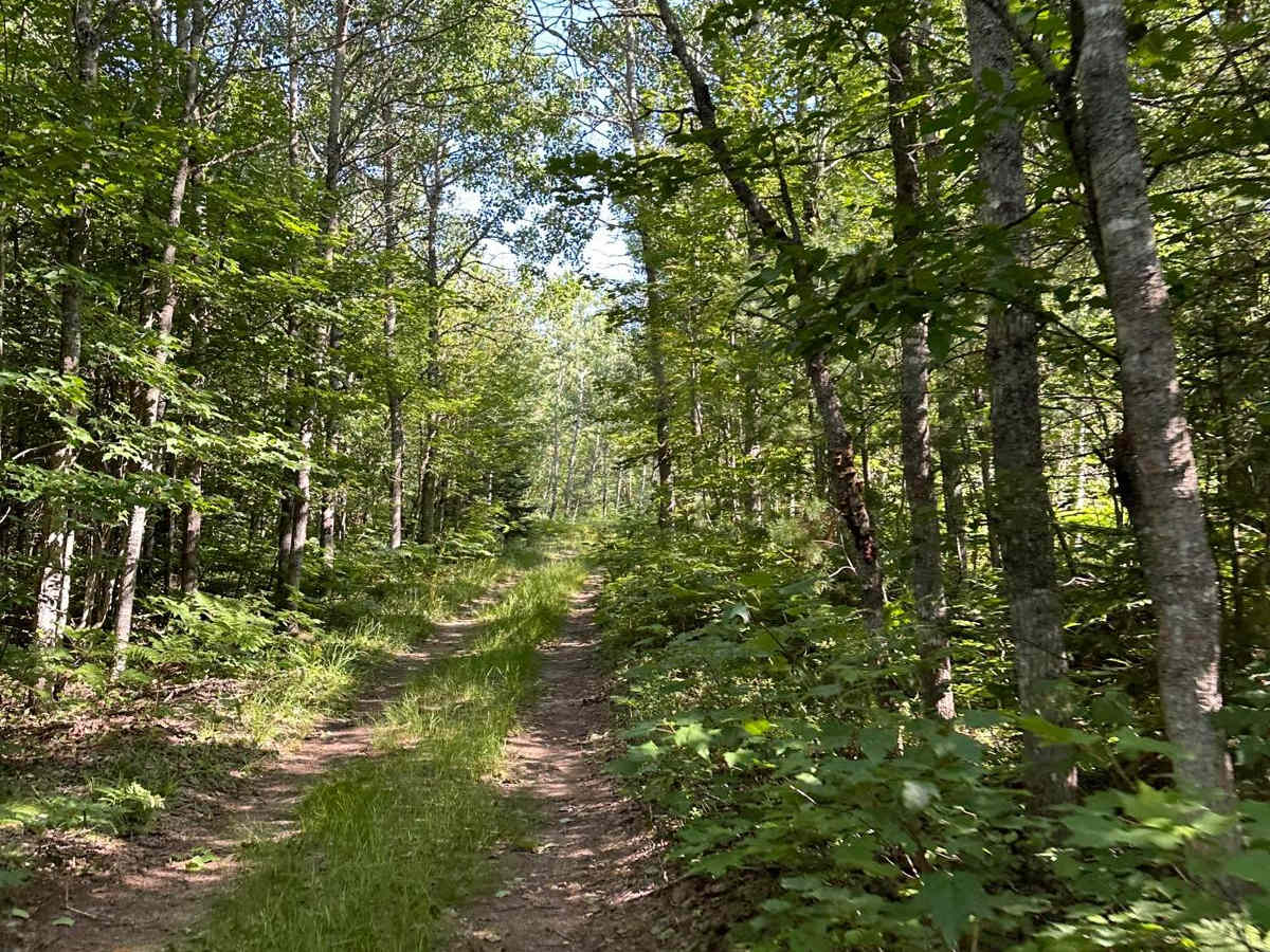 Barker Trail photo 5