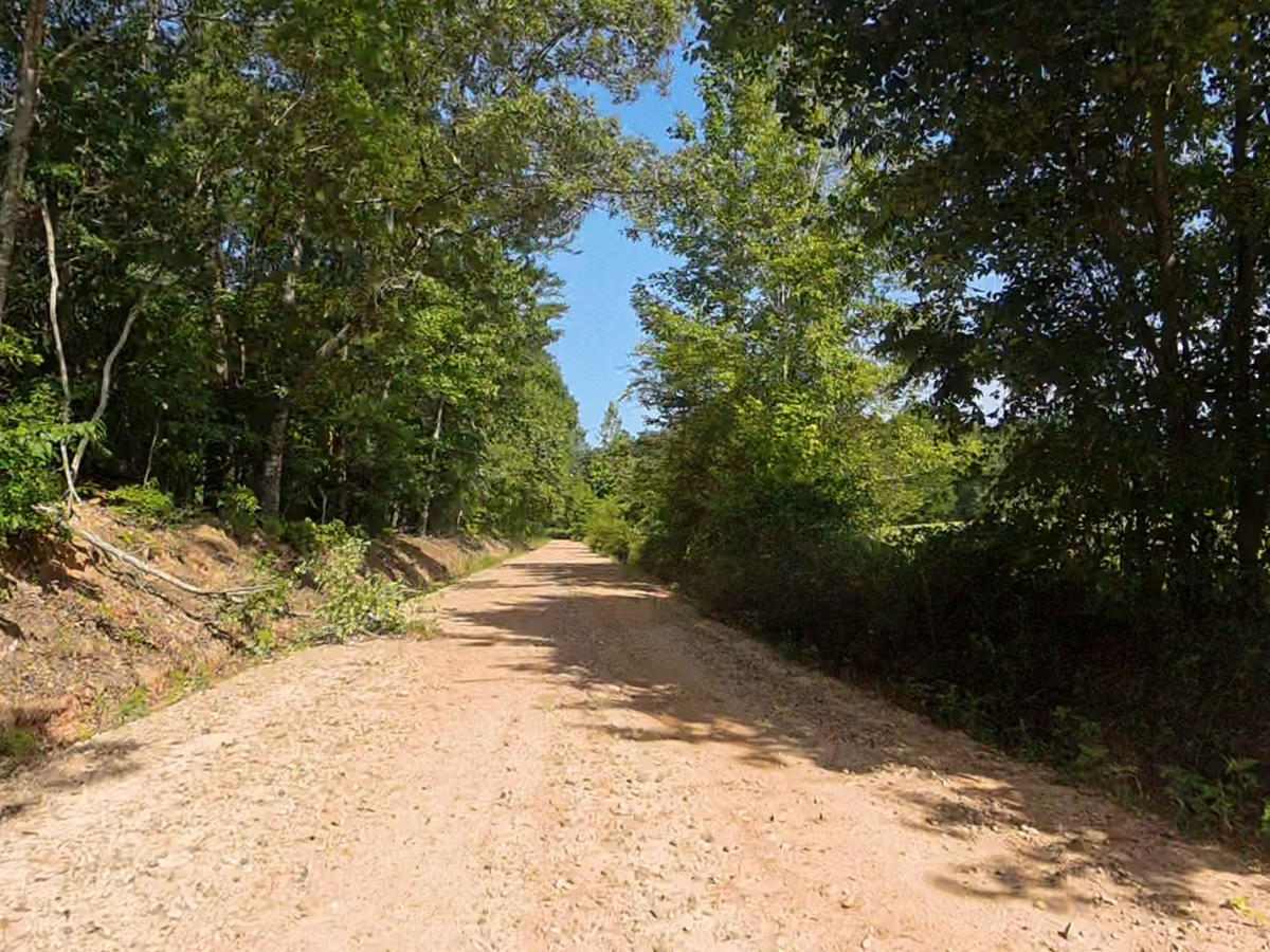 Panther Creek Road photo 3