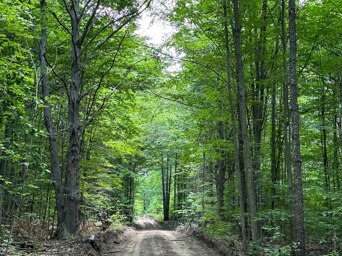 Trail 48460 photo 4