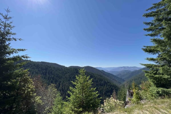 Bear Pass 1509