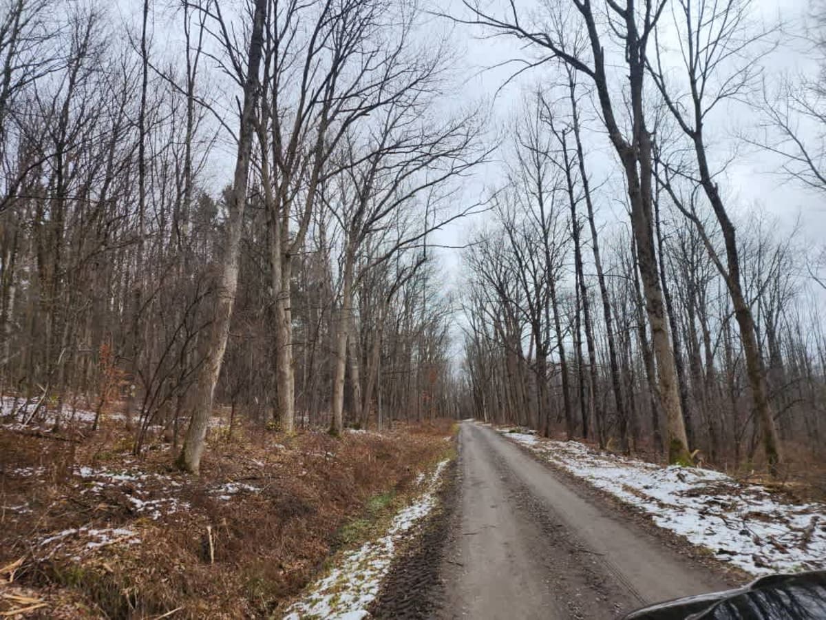 West Gate Road trail photo