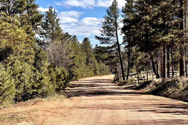 Wildhorn Road