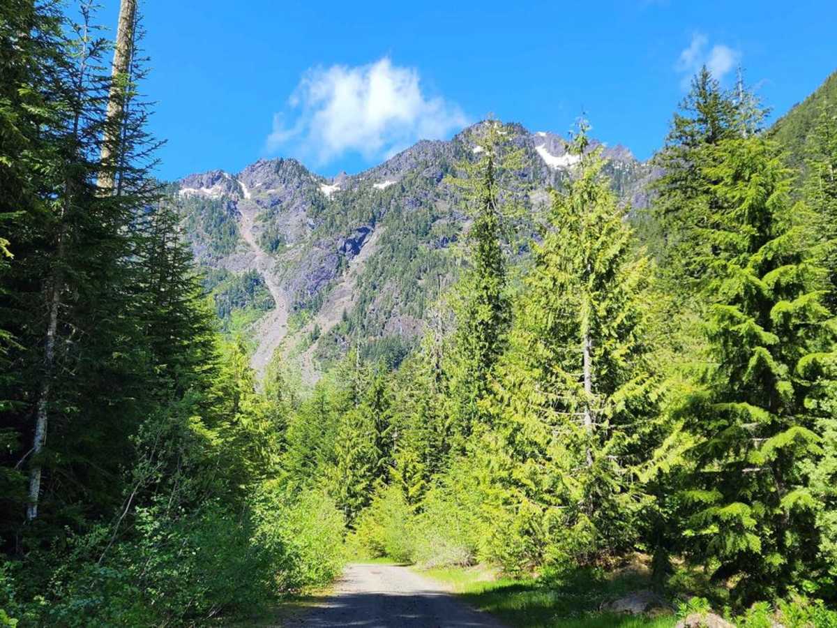 Jefferson Creek Trail photo 4