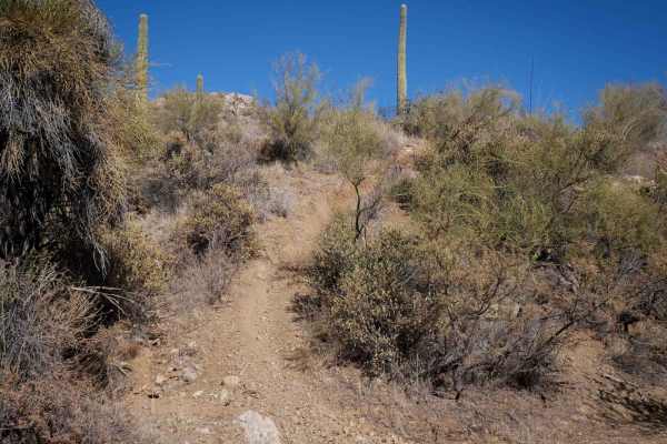 Desert Singletrack