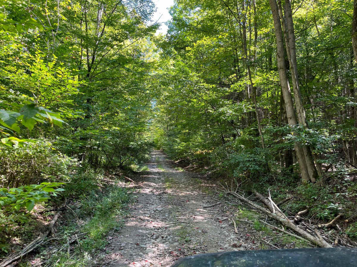 Harrison Road photo 4
