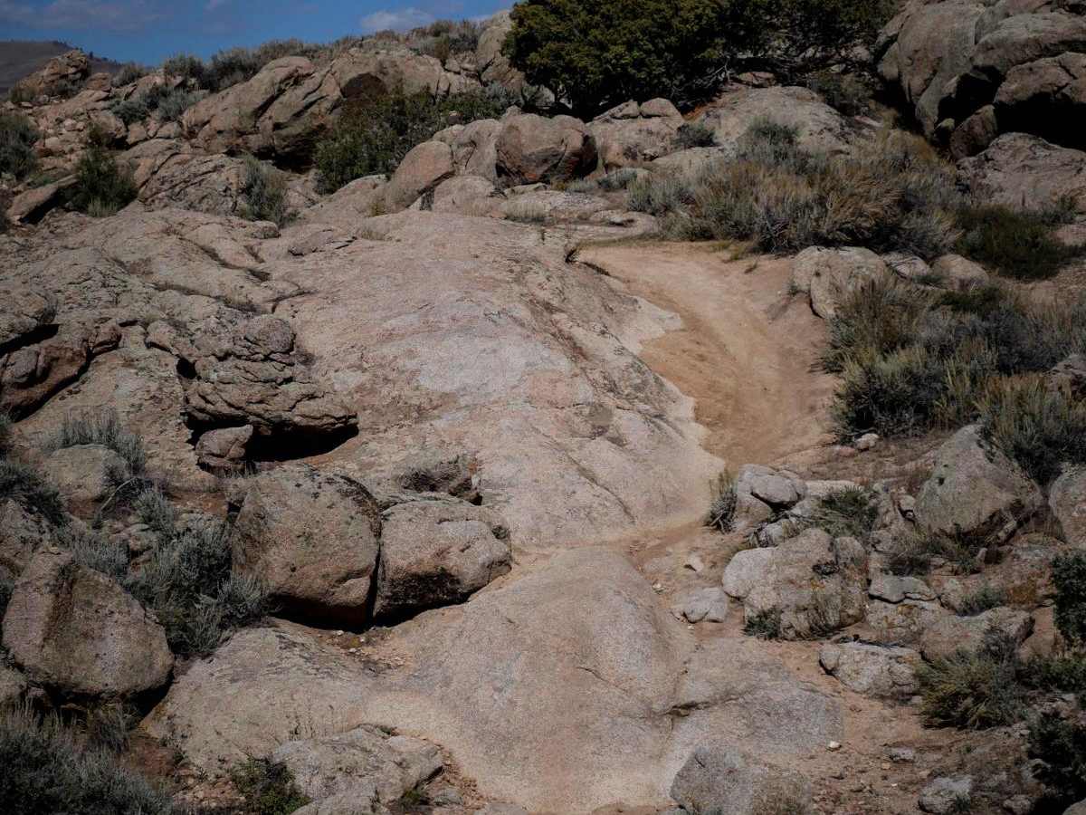 The Ridge Trail photo 2