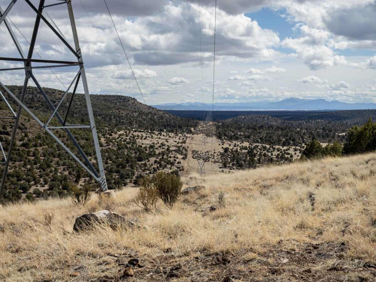 Powerline Problem photo 2