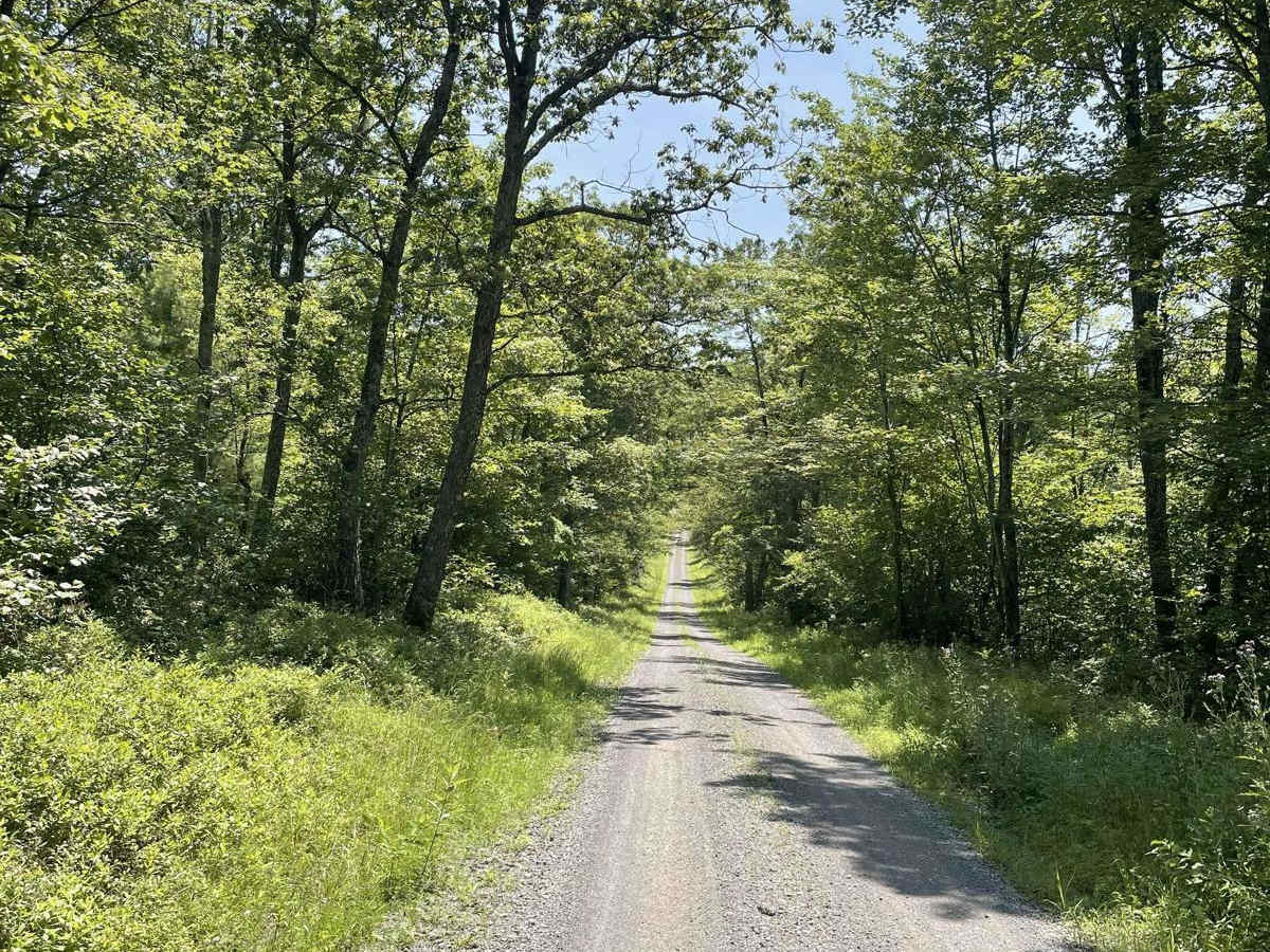 Pine Flat Road photo 2