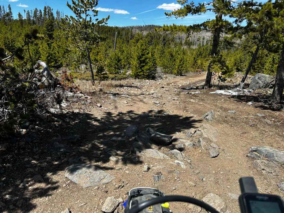 Pratt Creek Cutoff North photo 6