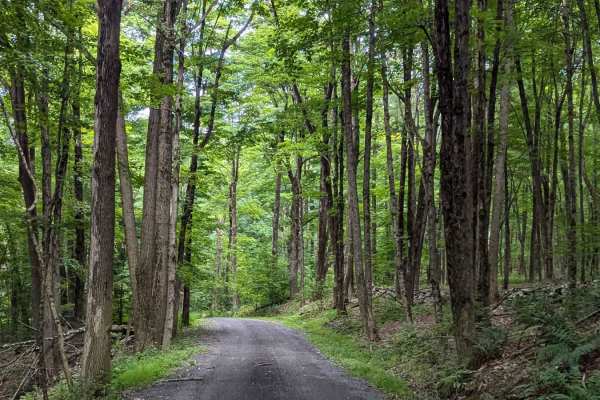 Old Macedonia Road