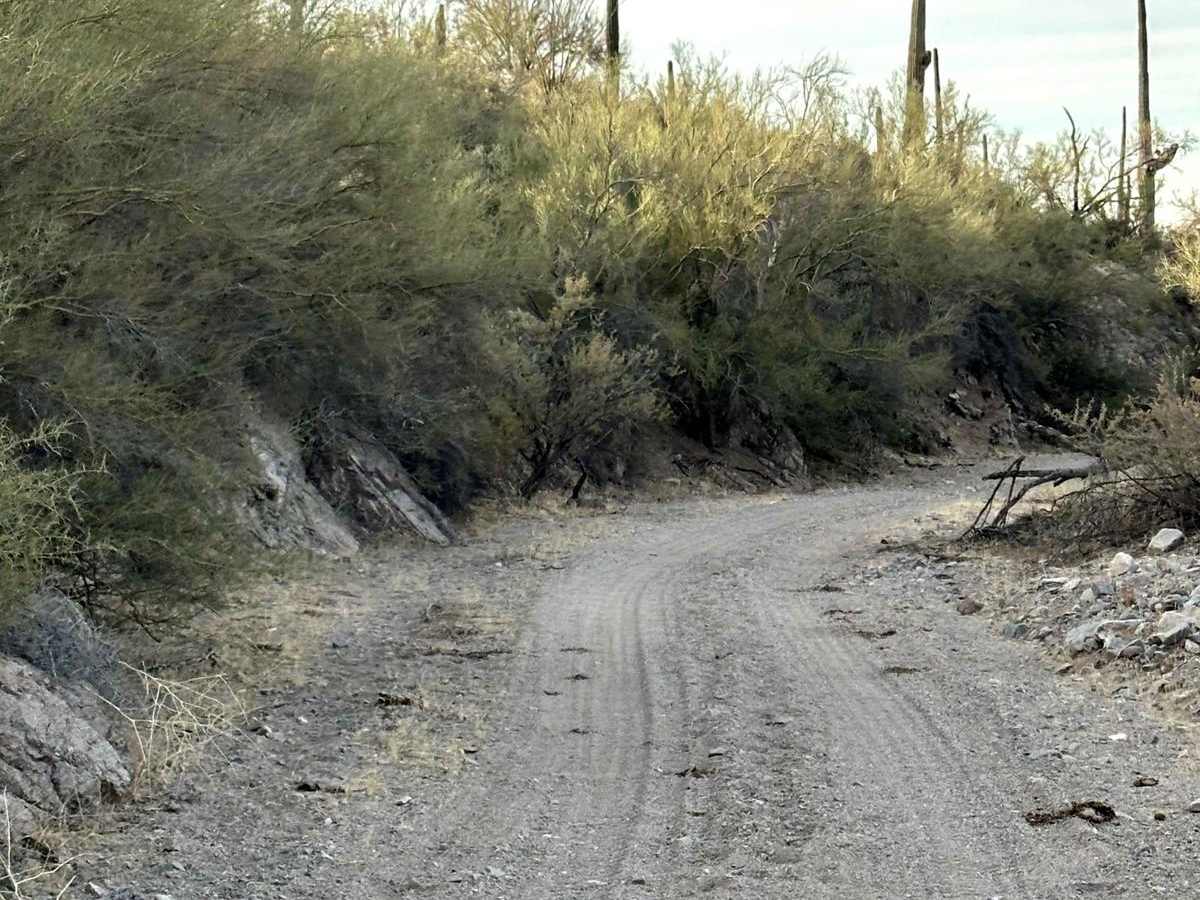 Out of the Box trail photo