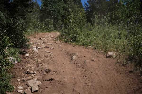 Dry Fork - Meadow Springs #5226
