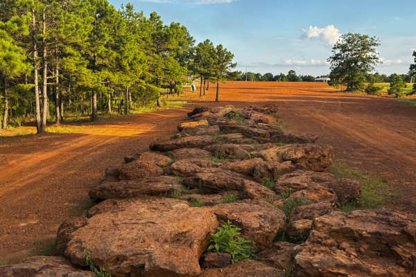 Rock Garden