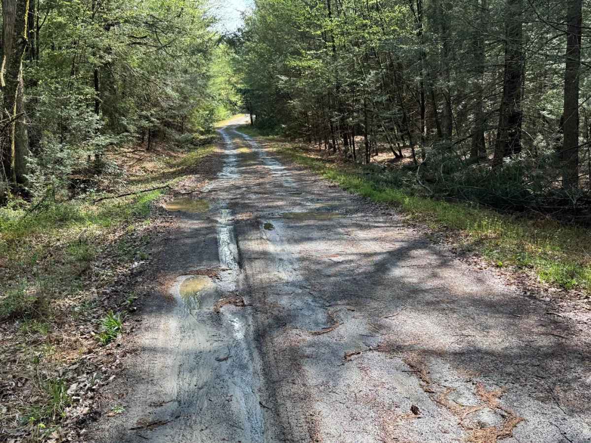 Hickock Brook Trail photo 3