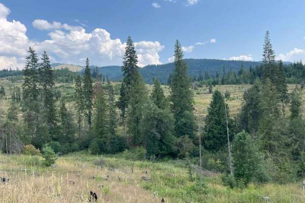 Little Meadow Creek Road