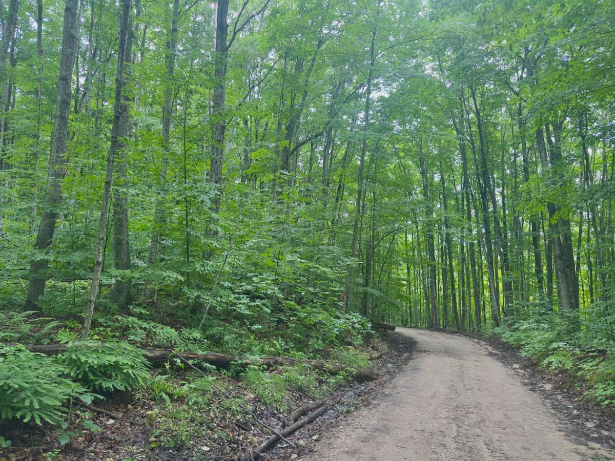 Cascade Road photo 3