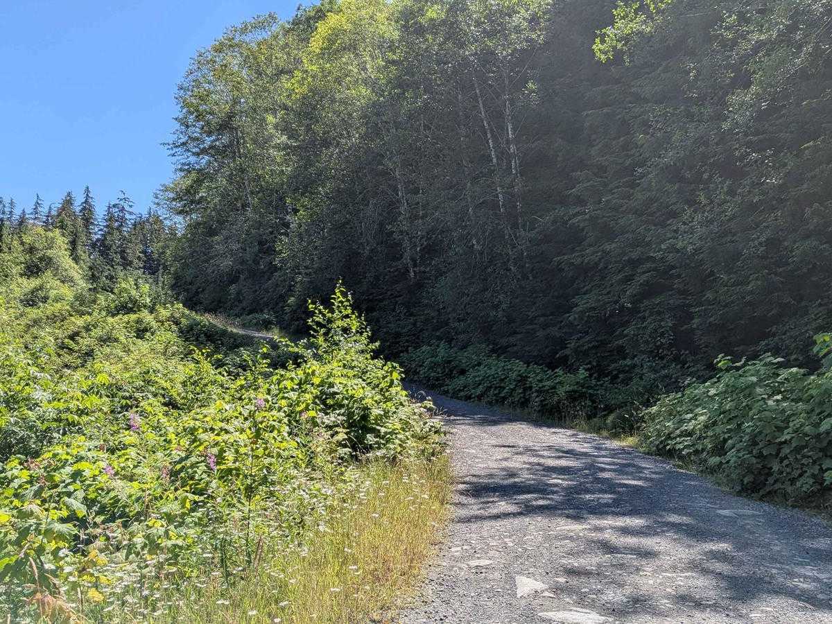 Cayuse Main trail photo