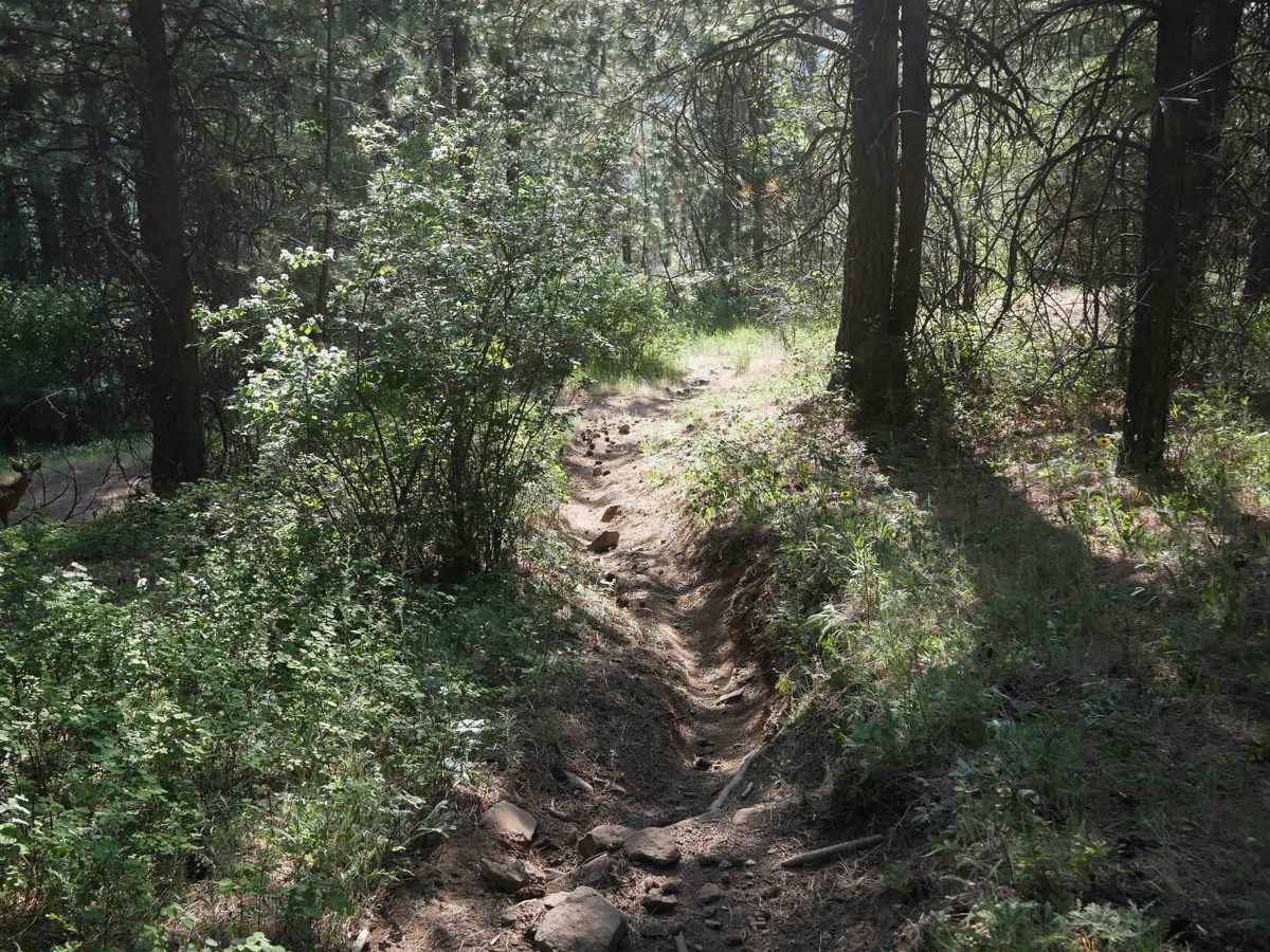 Trough Line photo 6