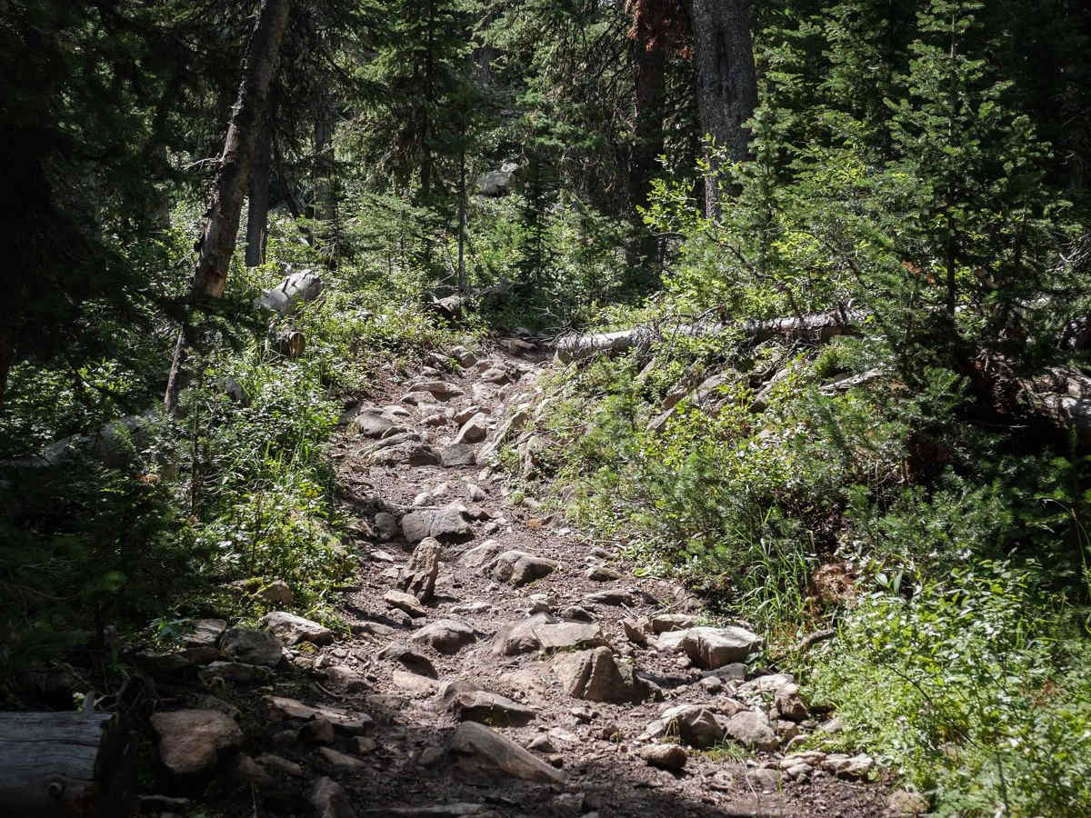 Kirkwood trail photo