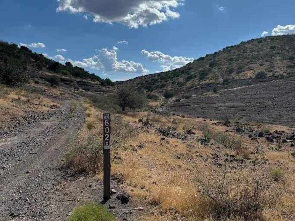 Hogan's Run trail photo