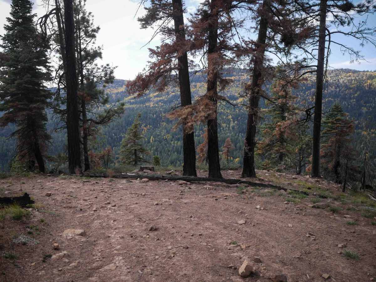 Trail Spring photo 4