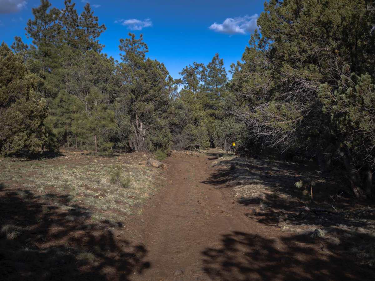 Robbins Way Down photo 5