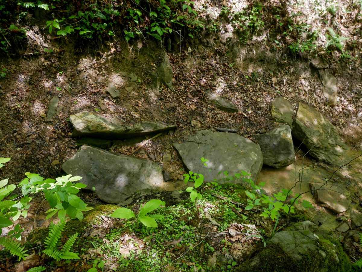 IB 90 photo 4