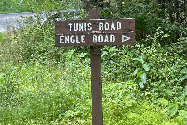 Tunis Road