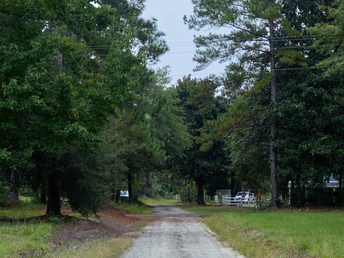 Bonneau Ferry WMA - Plantation Entrance trail photo