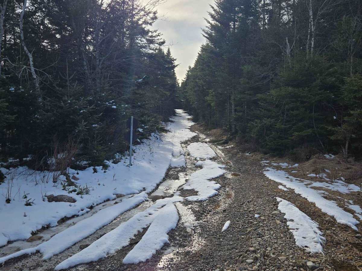 Porter Road photo 4