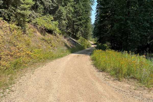 Honeysuckle to Cascade Saddle