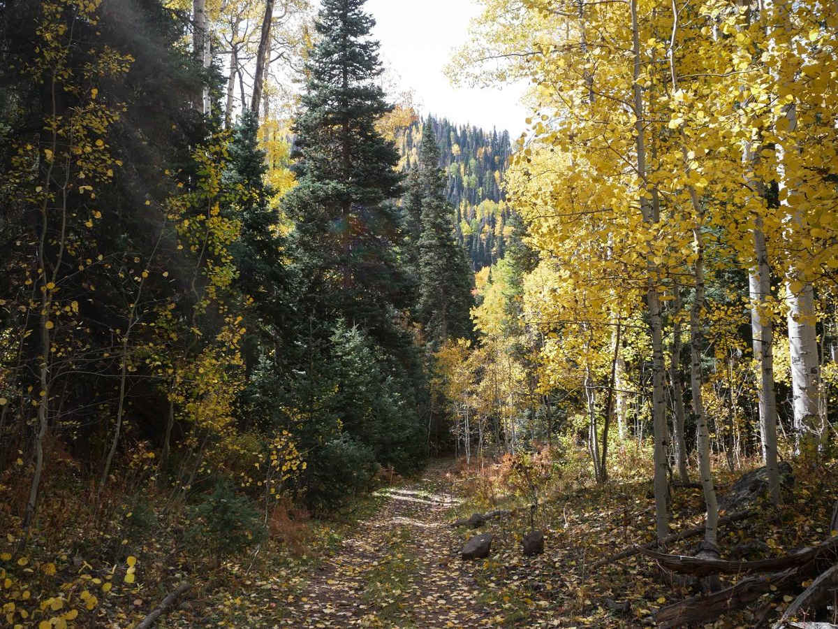Stealey Mountain Spur ATV trail photo