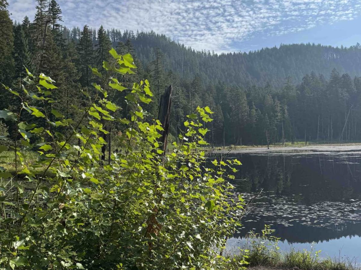 Skookum Pond photo 6