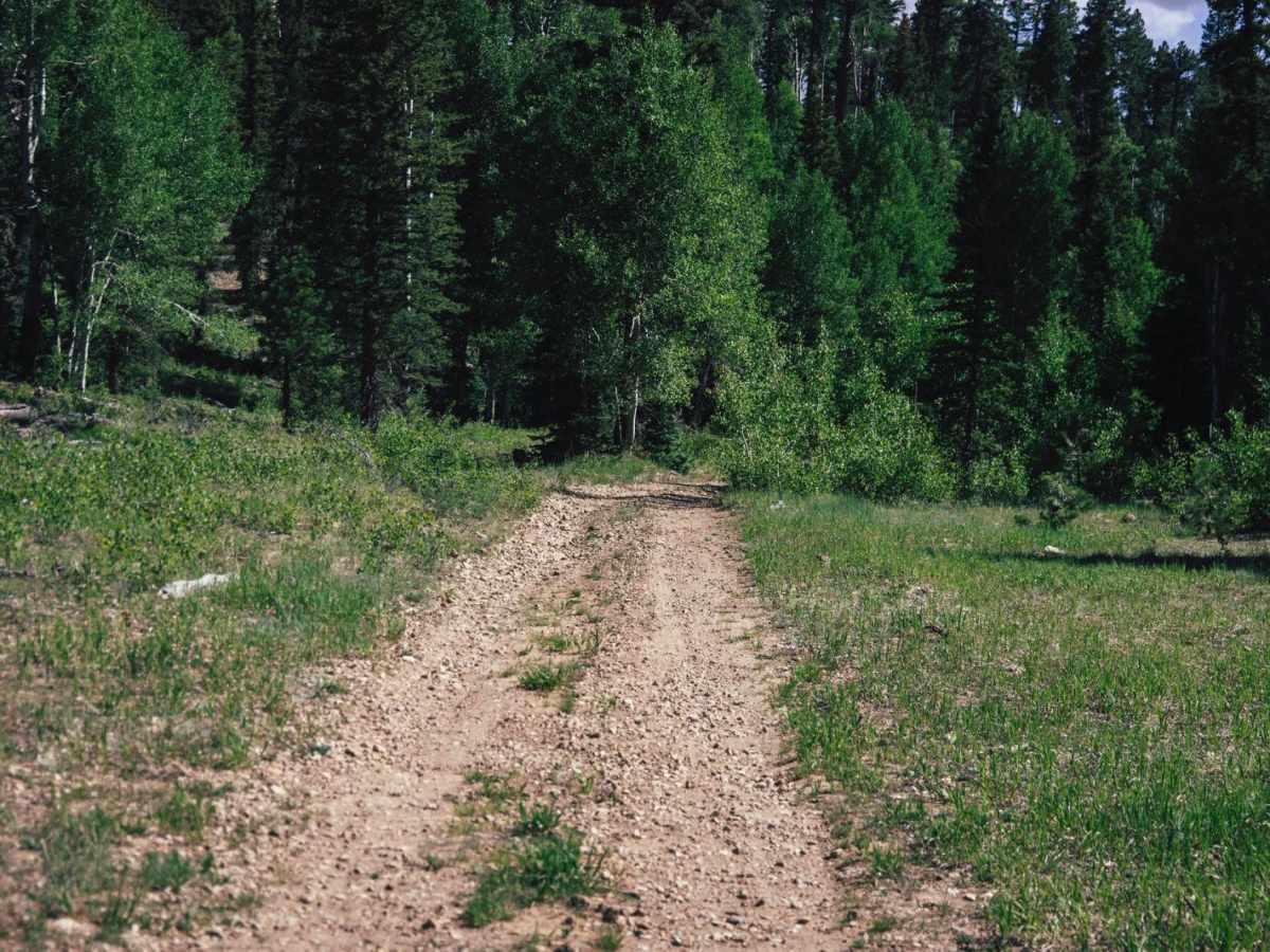 Tater Canyon photo 4